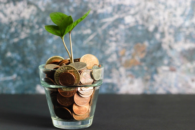 Jar of coins with tree sprouting up